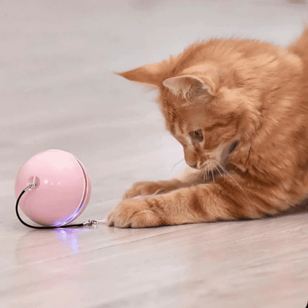 bola inteligente e interativa para cachorro e gato - bola diverte pet